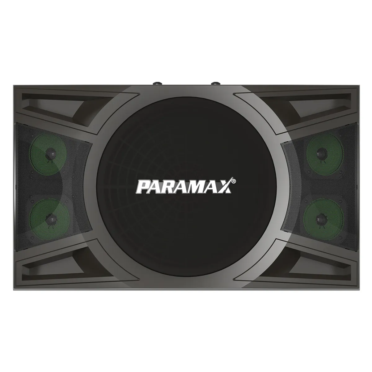 Loa karaoke Paramax P1000 New