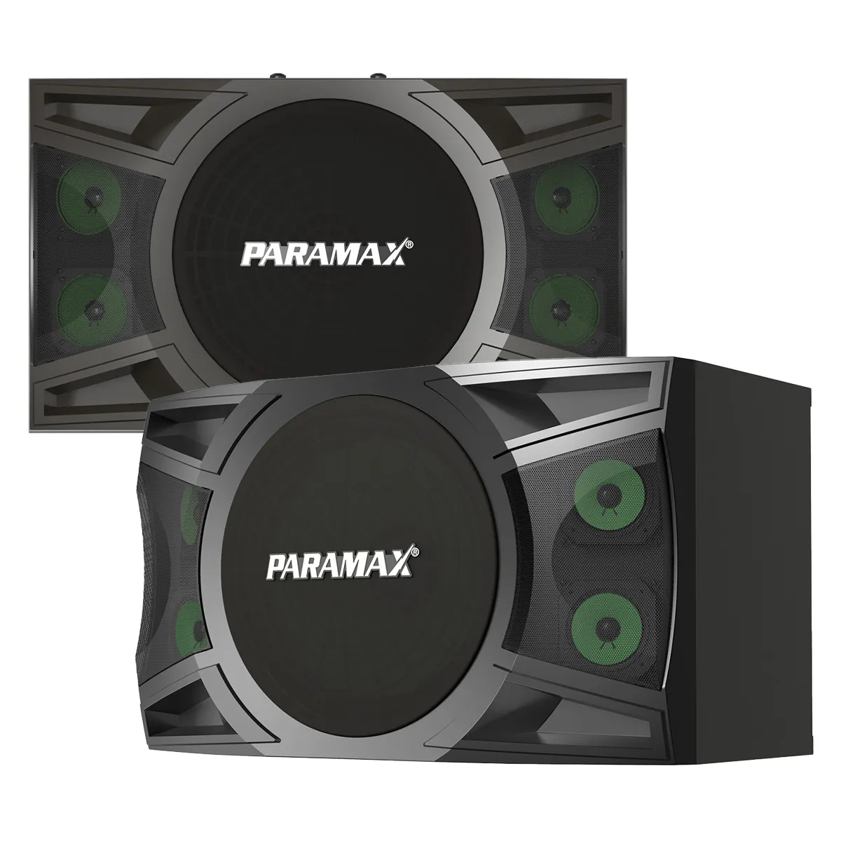 Loa karaoke Paramax P1000 New