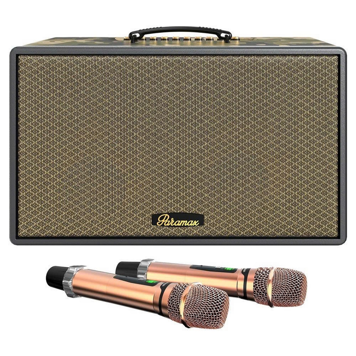 Loa Paramax Saga (Bass 20cm, 300W, Kèm 2 Micro) - Hình 2