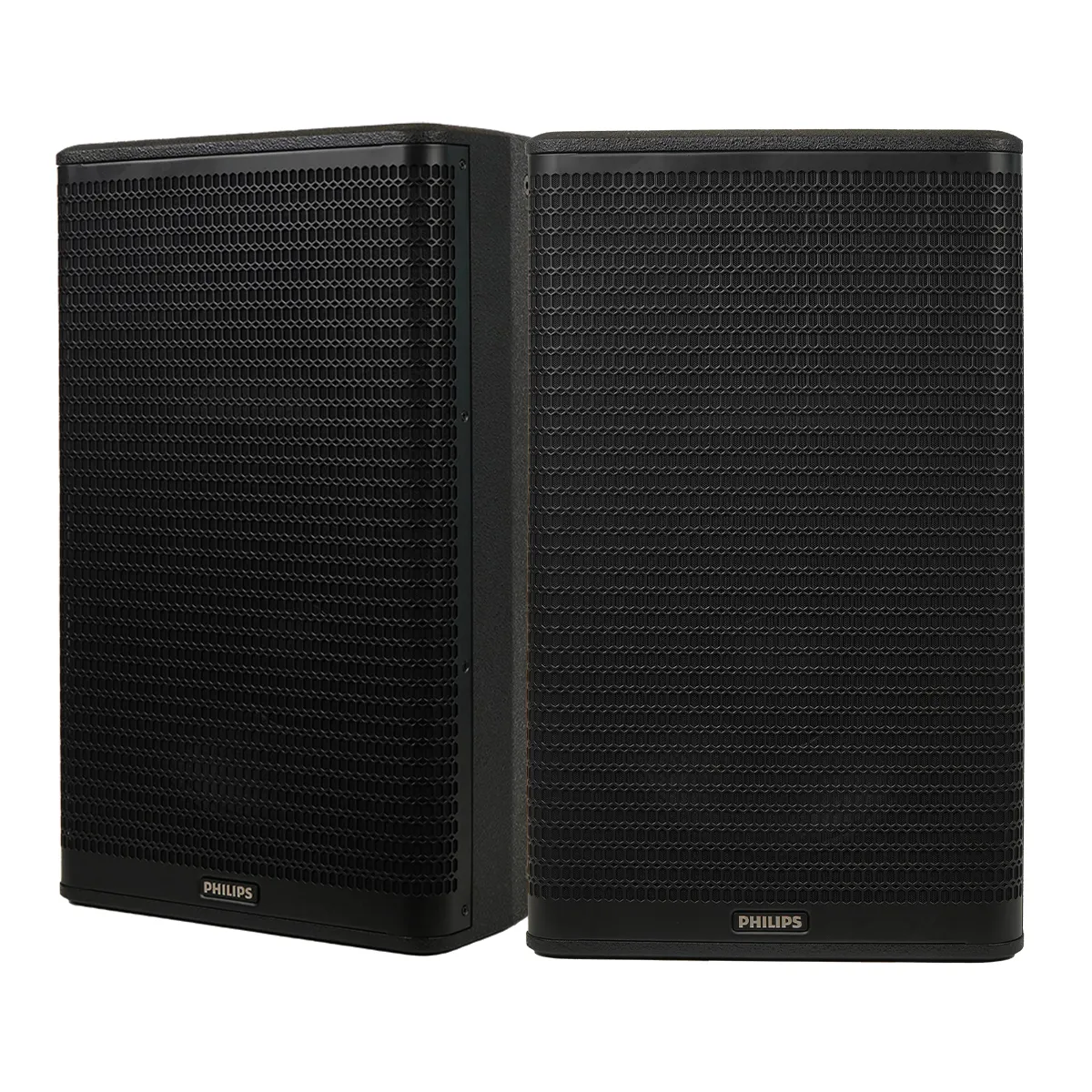 Loa Philips CSS1600/70