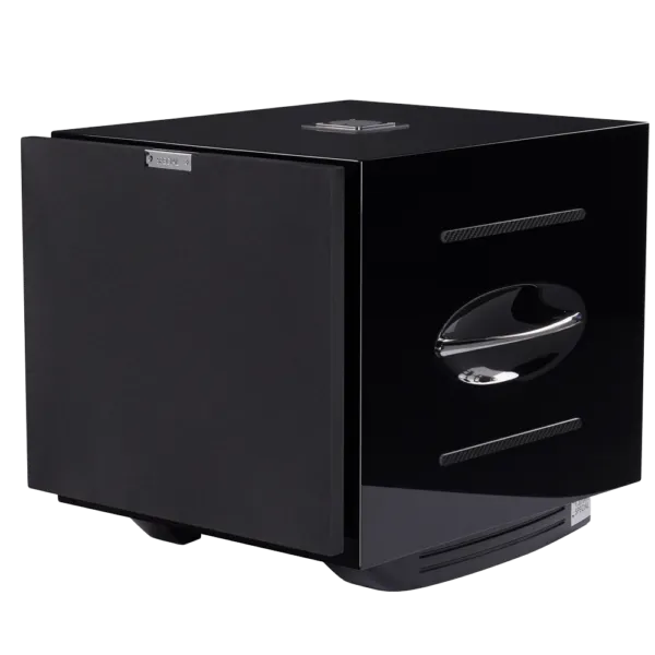 Loa sub REL Carbon Special