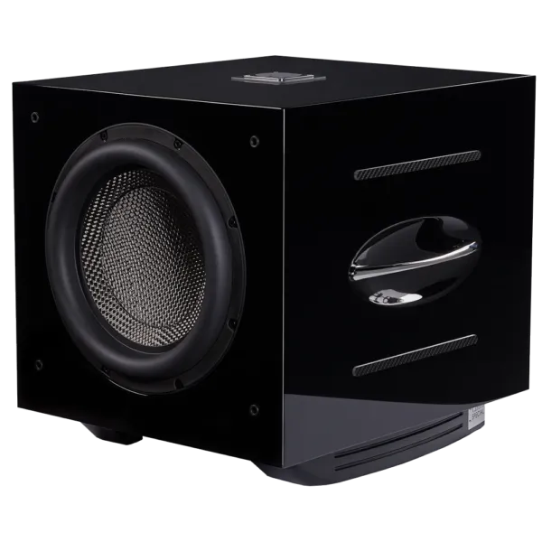 Loa sub REL Carbon Special