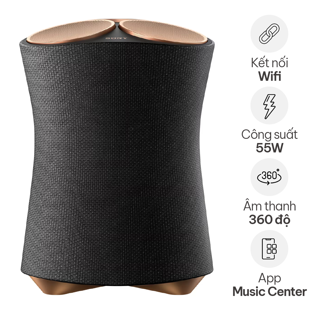 Loa bluetooth Sony SRS-RA5000