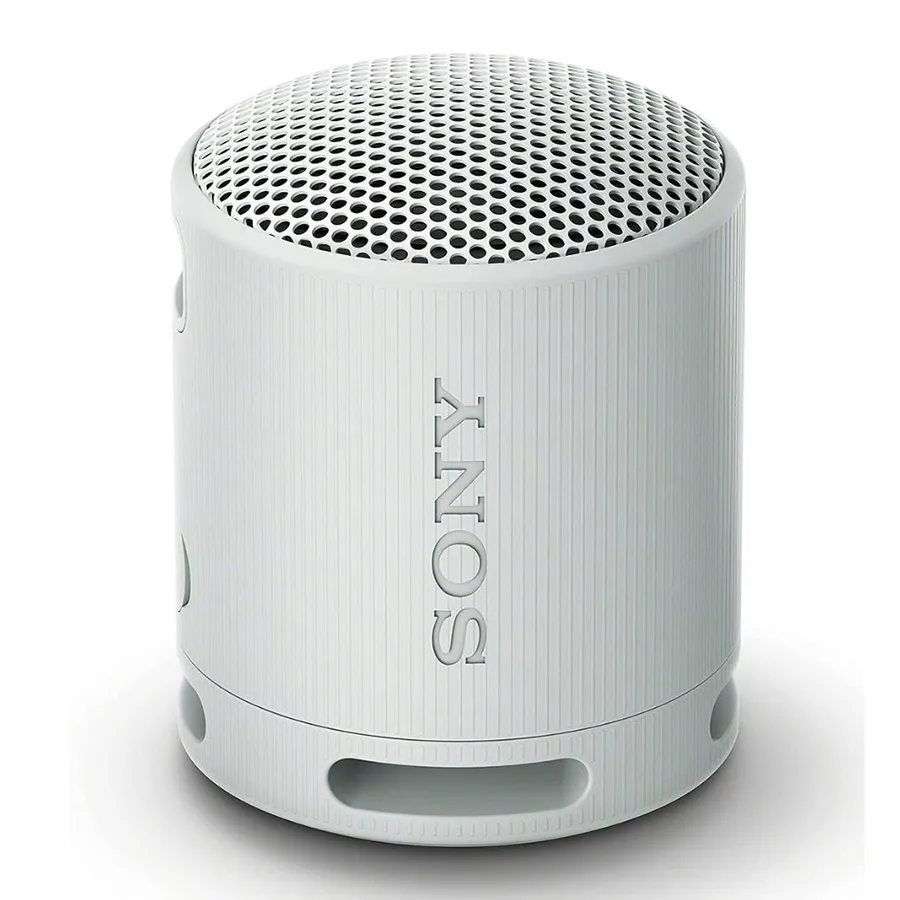 Loa Sony SRS-XB100 Grey