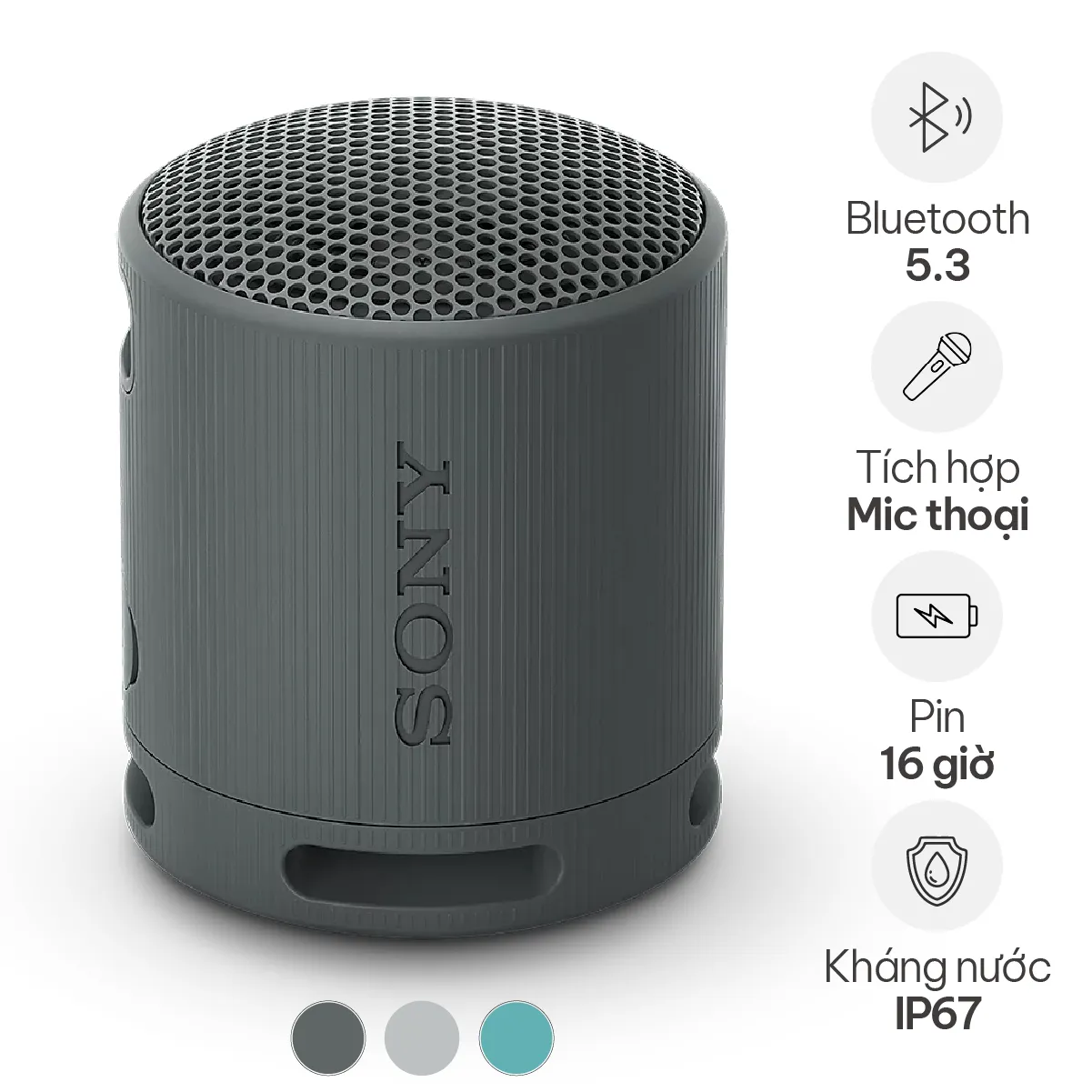 Loa Sony SRS-XB100