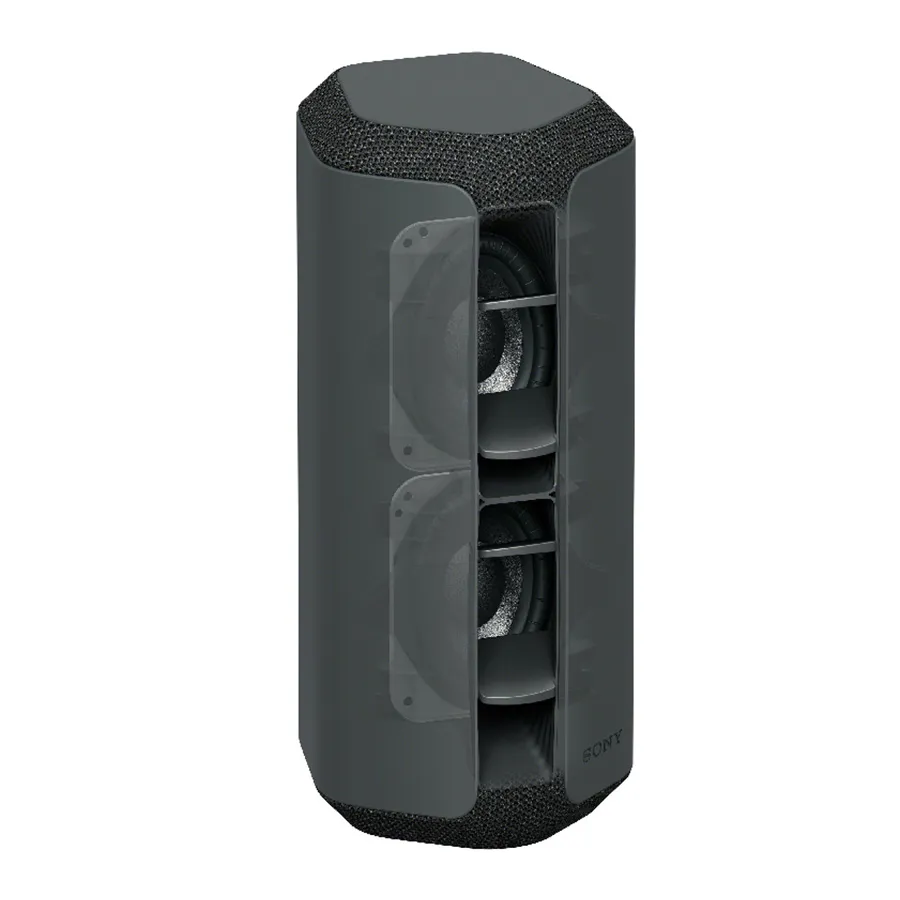 Loa Sony SRS-XE300 Black-3