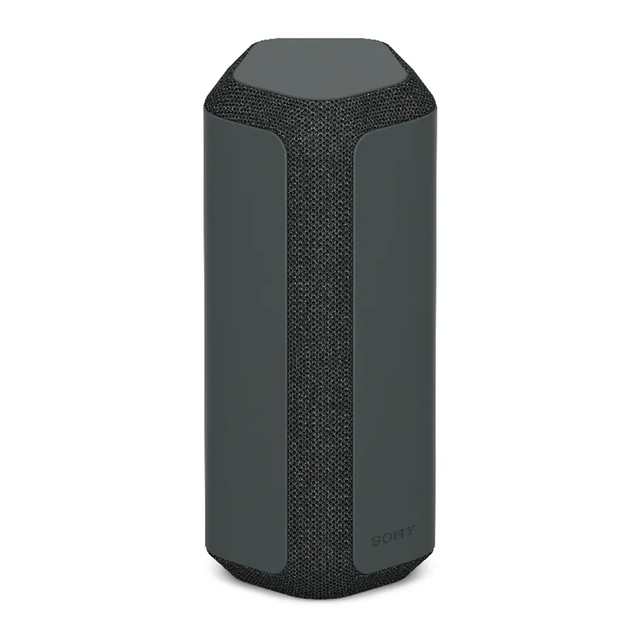Loa Sony SRS-XE300 Black