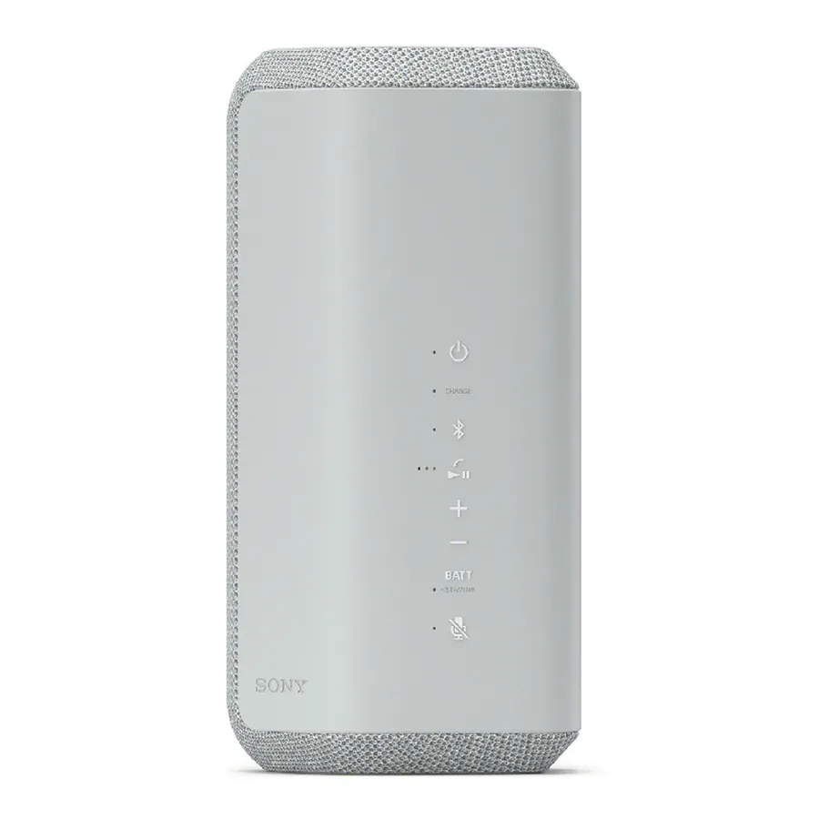 Loa Sony SRS-XE300 Grey-2
