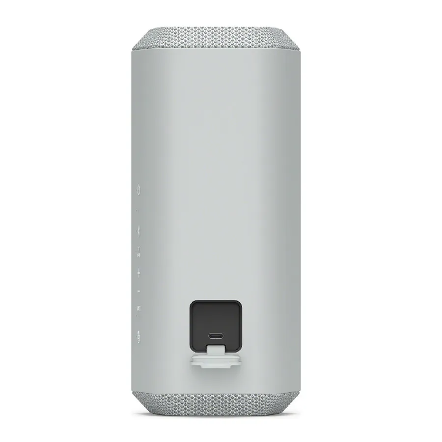 Loa Sony SRS-XE300 Grey-1