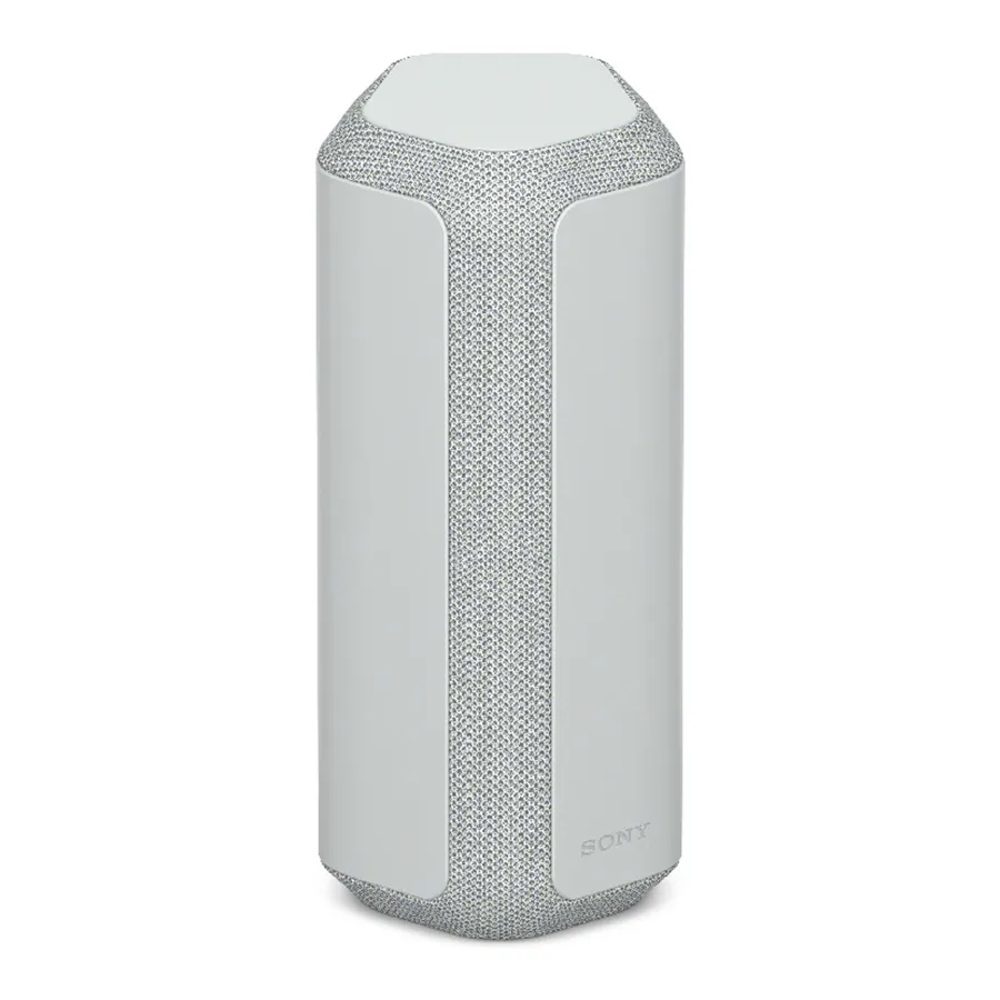 Loa Sony SRS-XE300 Grey
