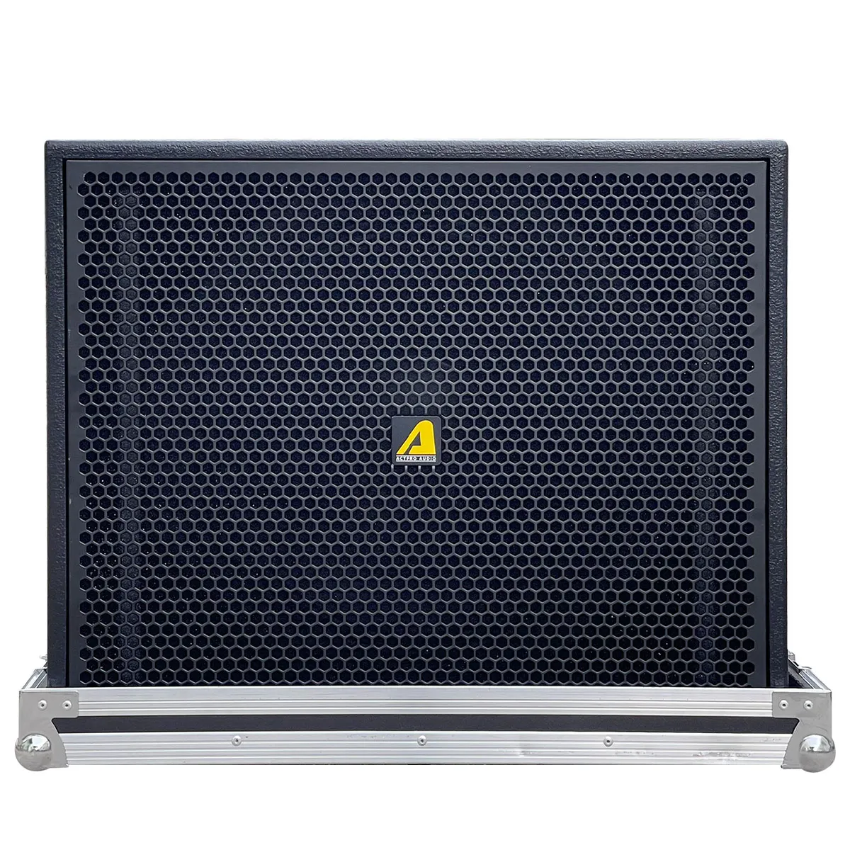 Loa Sub Đơn 50 Từ Neo Actpro AS18N
