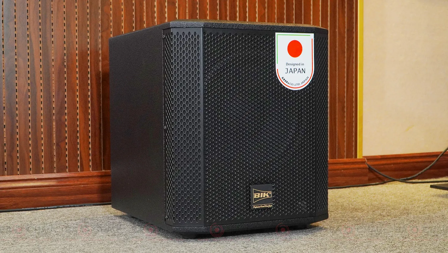 Loa sub điện BIK BBK-W25A