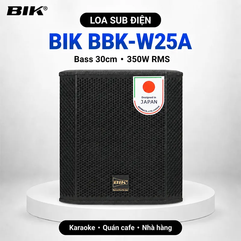 Loa sub điện BIK BBK-W25A (Bass 30cm)