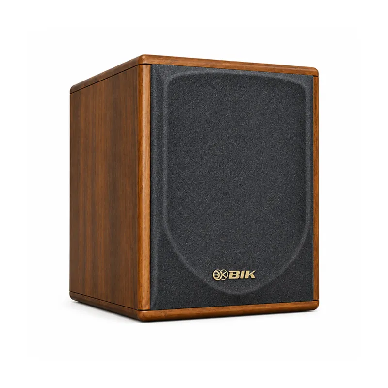 Loa sub điện BIK BH-AW25X