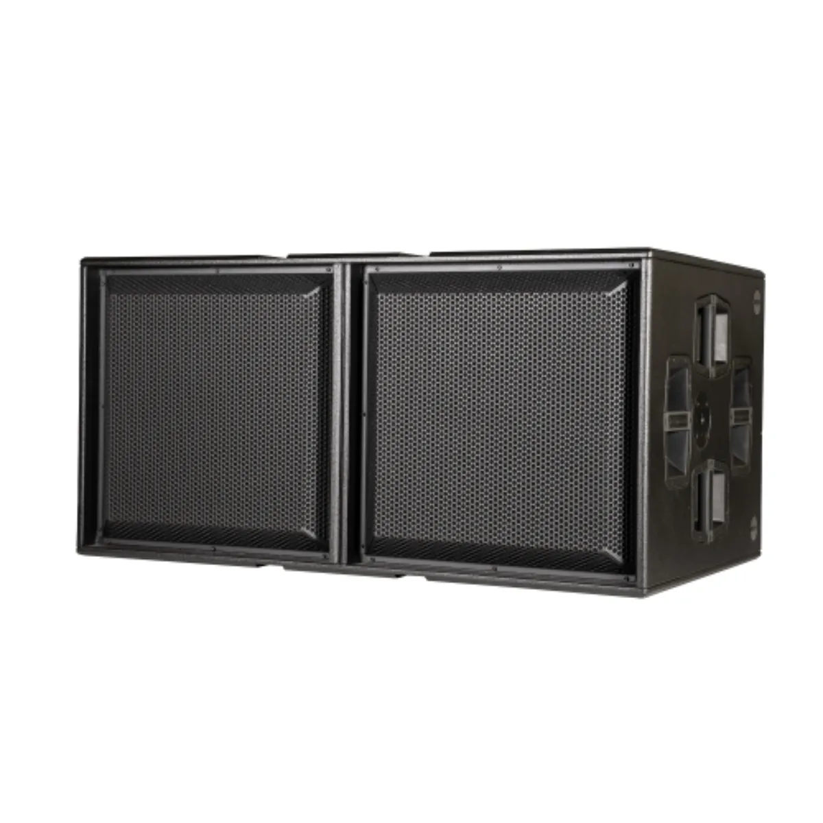 Loa sub điện dBTechnologies Ingenia IGS2