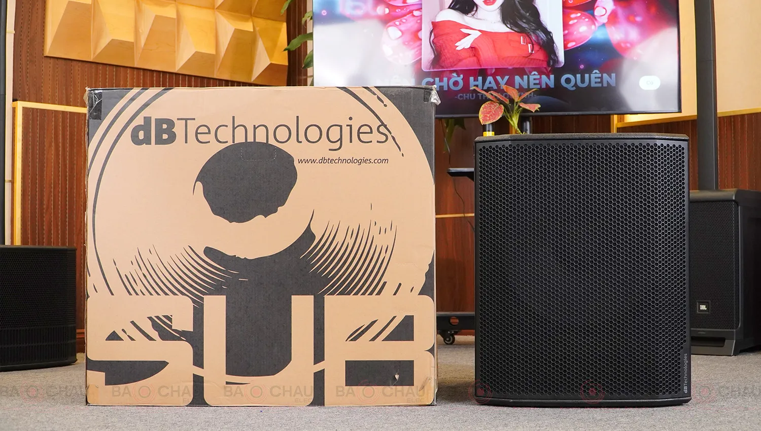 Loa sub điện dBTechnologies Sub 618