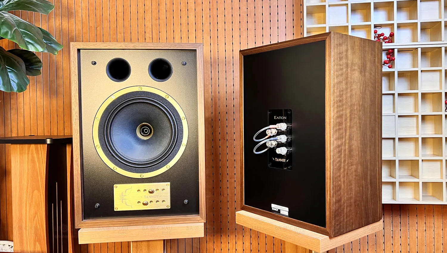 Loa Tannoy Eaton