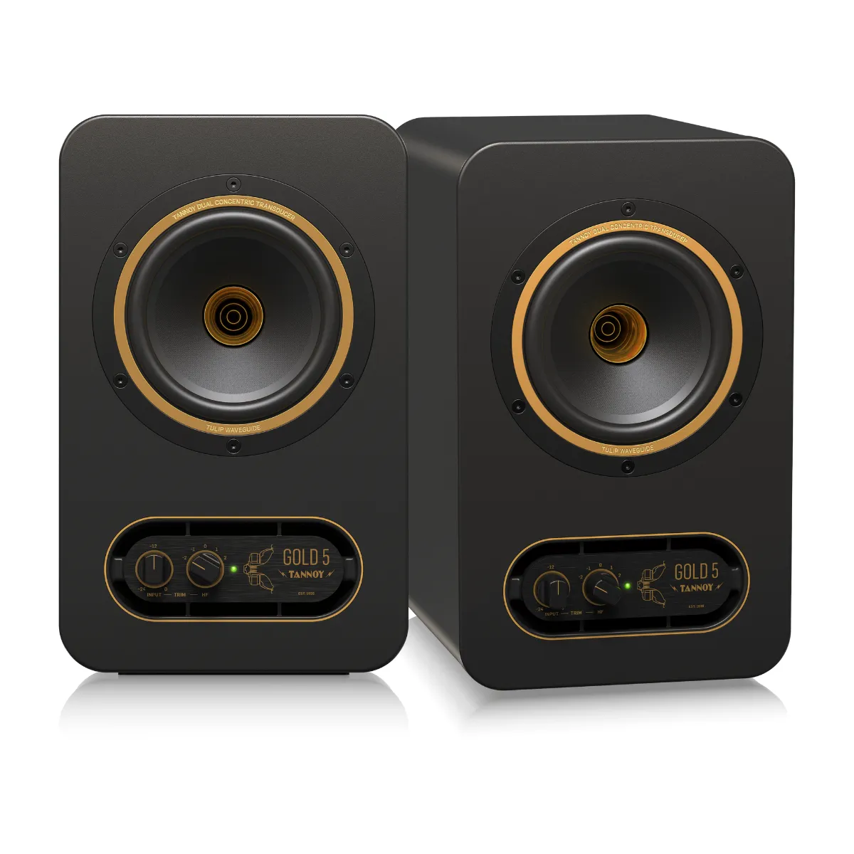 Loa Tannoy GOLD 5
