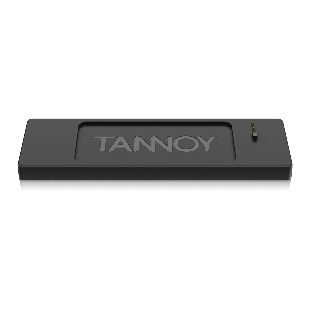 Loa Tannoy Live Mini