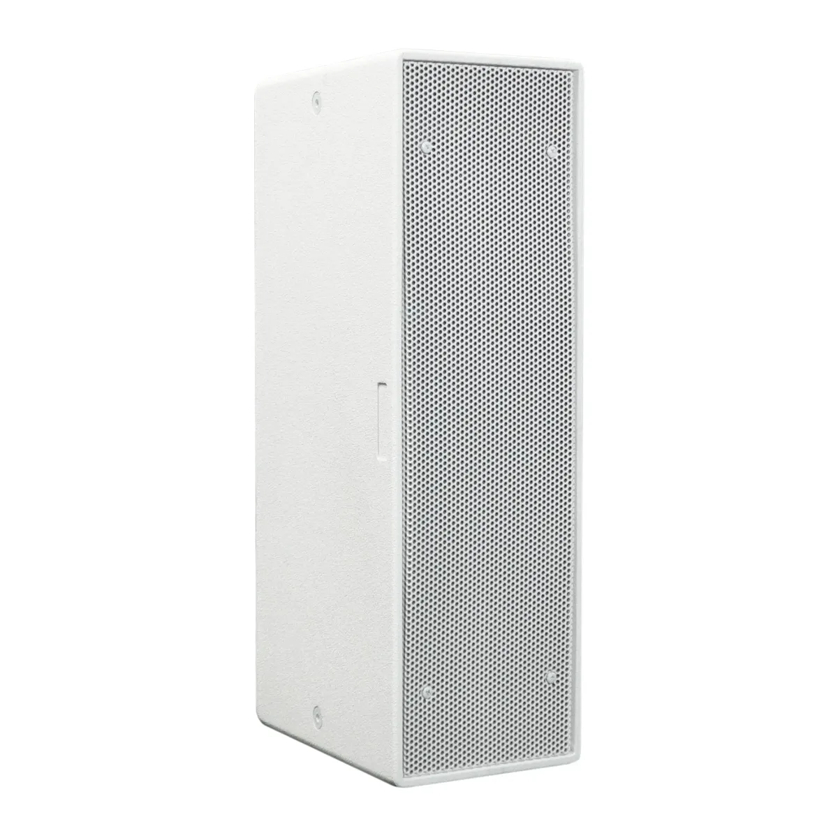 Loa treo tường dBTechnologies IS25T