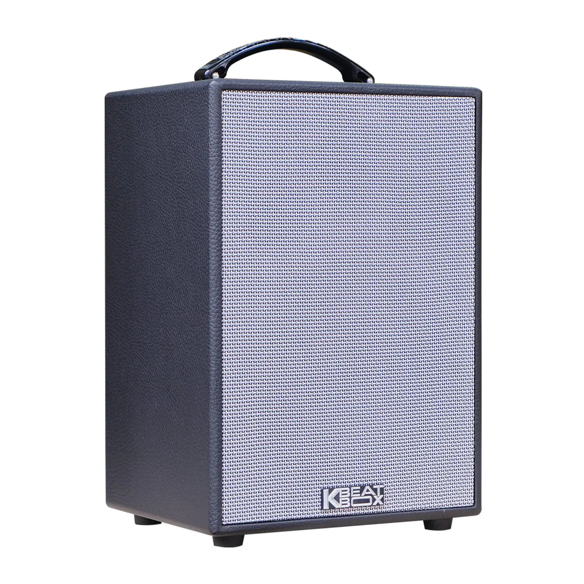 Loa xách tay Acnos CS121