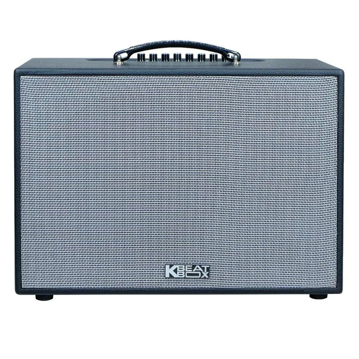 Loa xách tay Acnos CS251PU