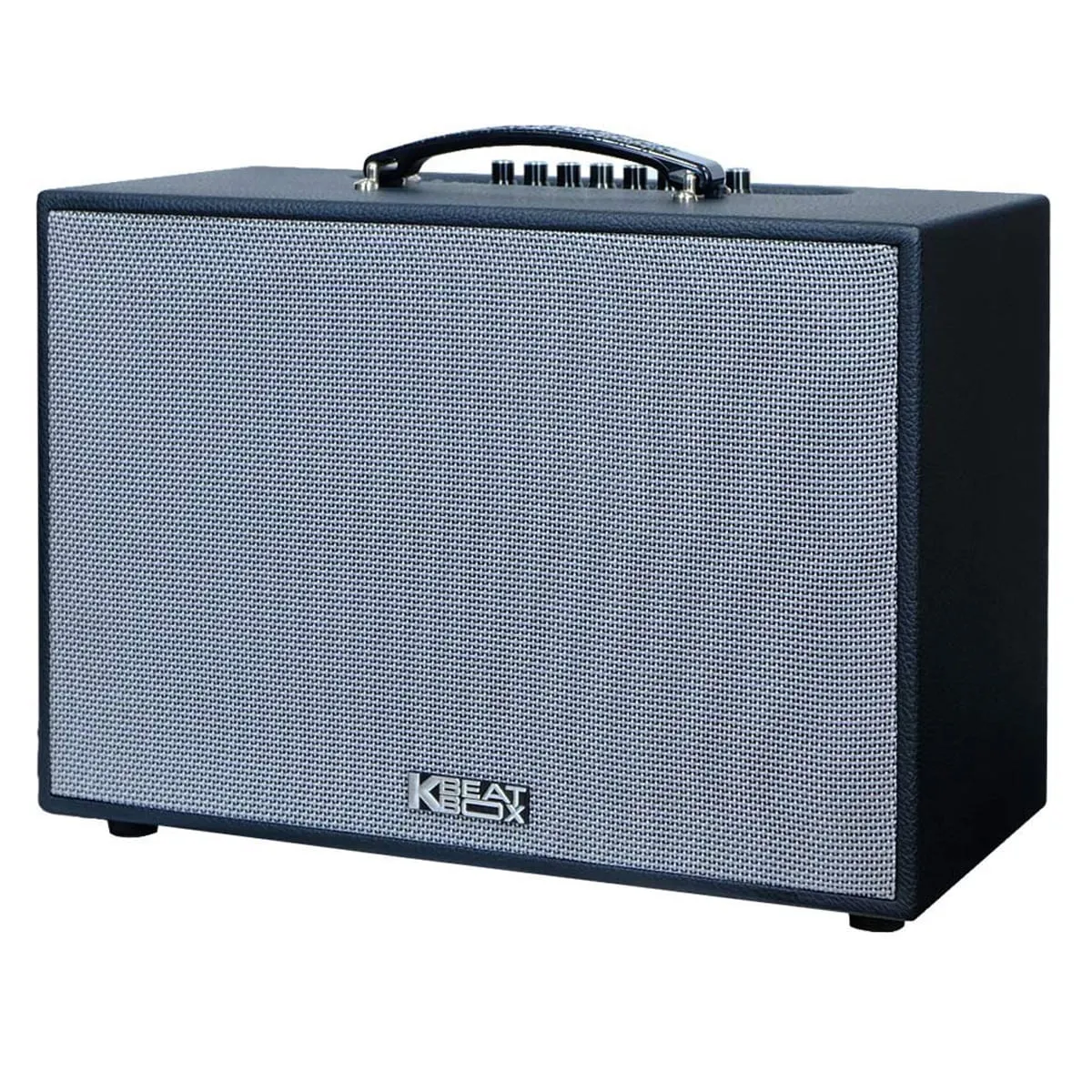 Loa xách tay Acnos CS251PU