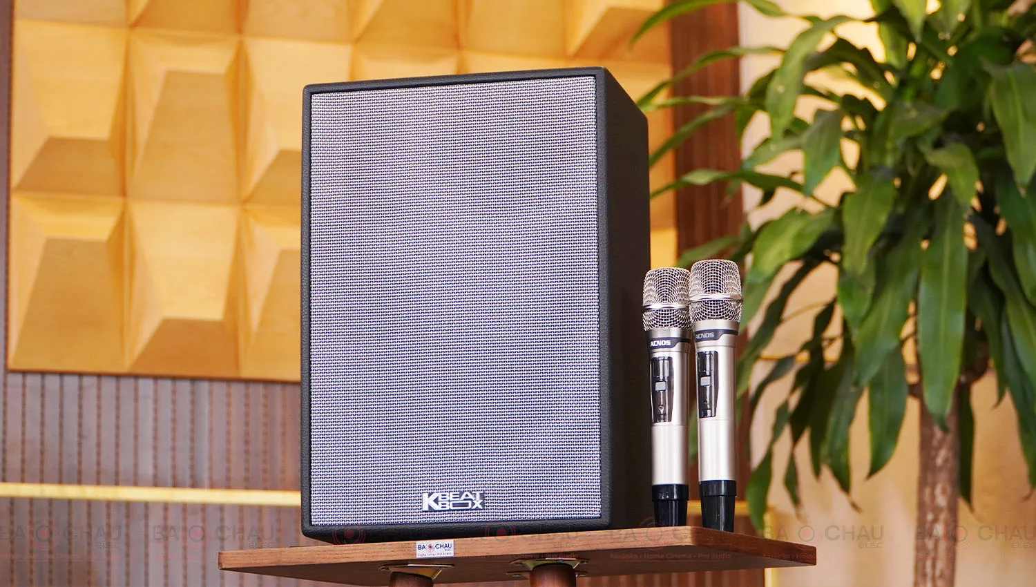 Loa Xách Tay Acnos CS286 Plus