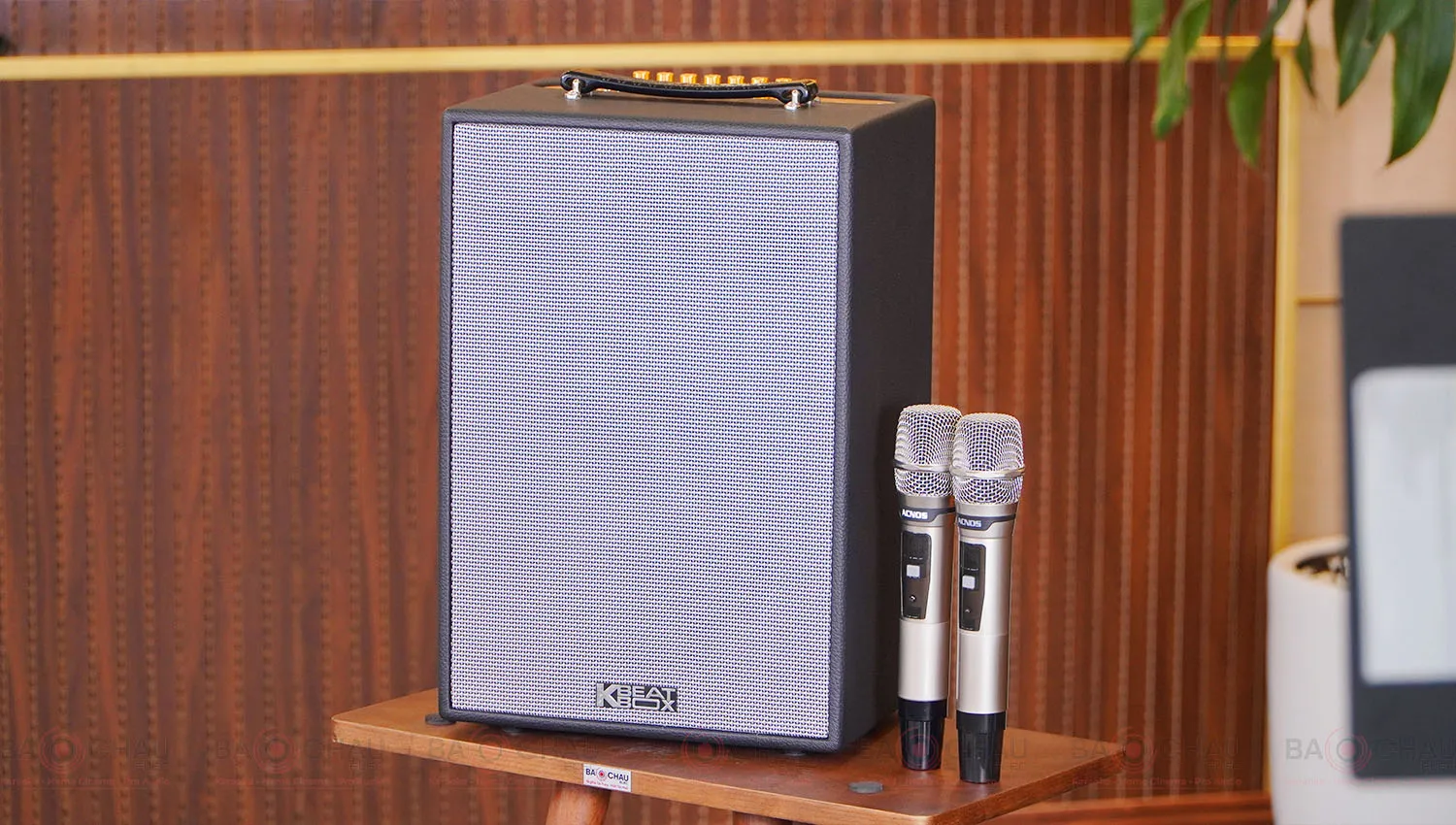 Loa Xách Tay Acnos CS286 Plus