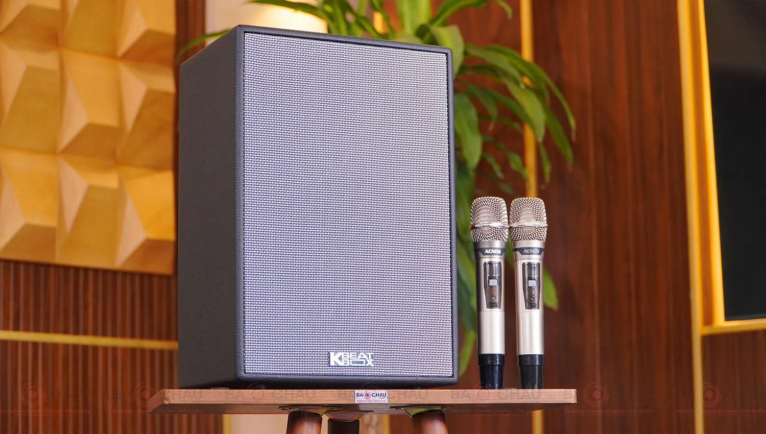 Loa Xách Tay Acnos CS286 Plus