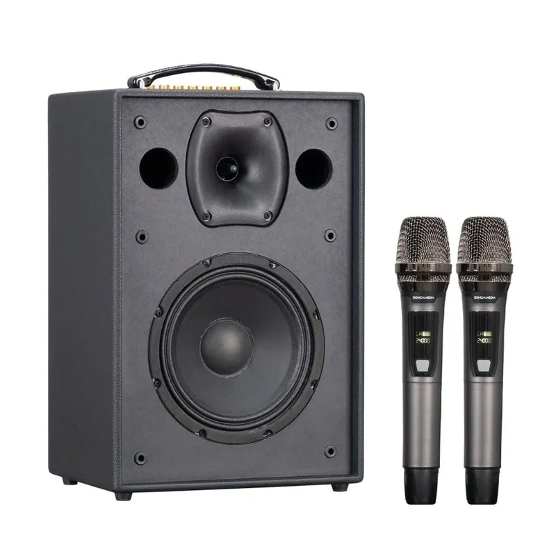Loa xách tay Acnos CS286 Pro