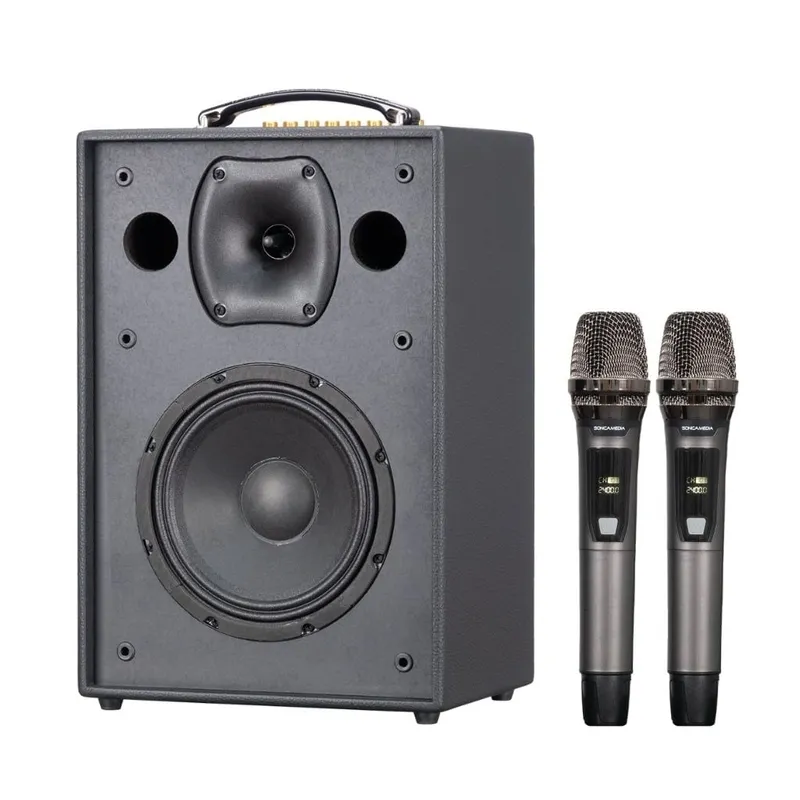 Loa xách tay Acnos CS286 Pro