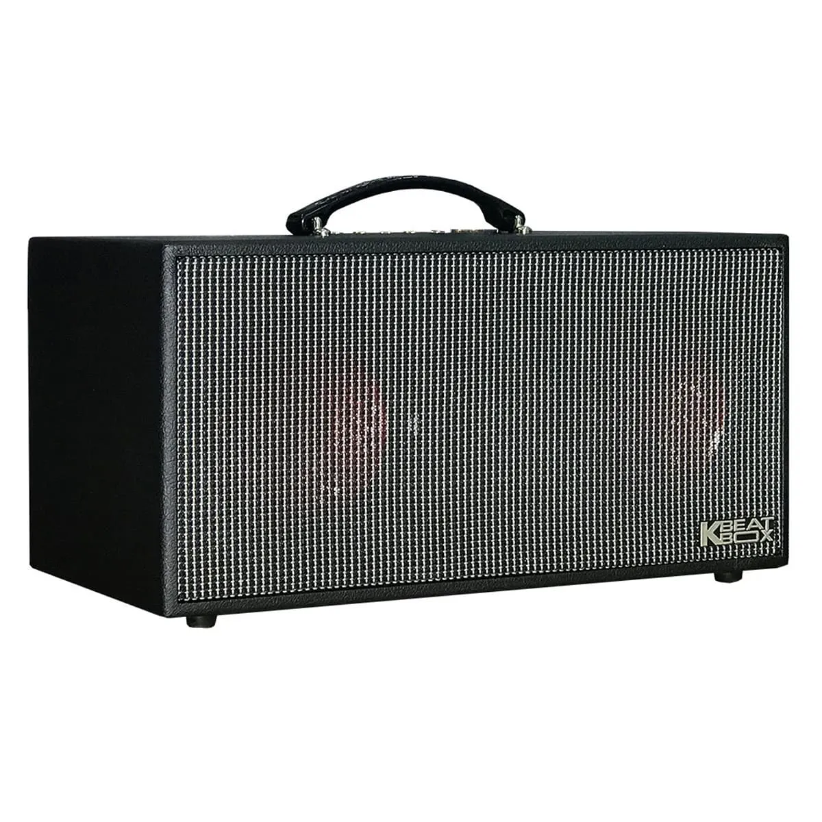 Loa xách tay ACNOS CS450