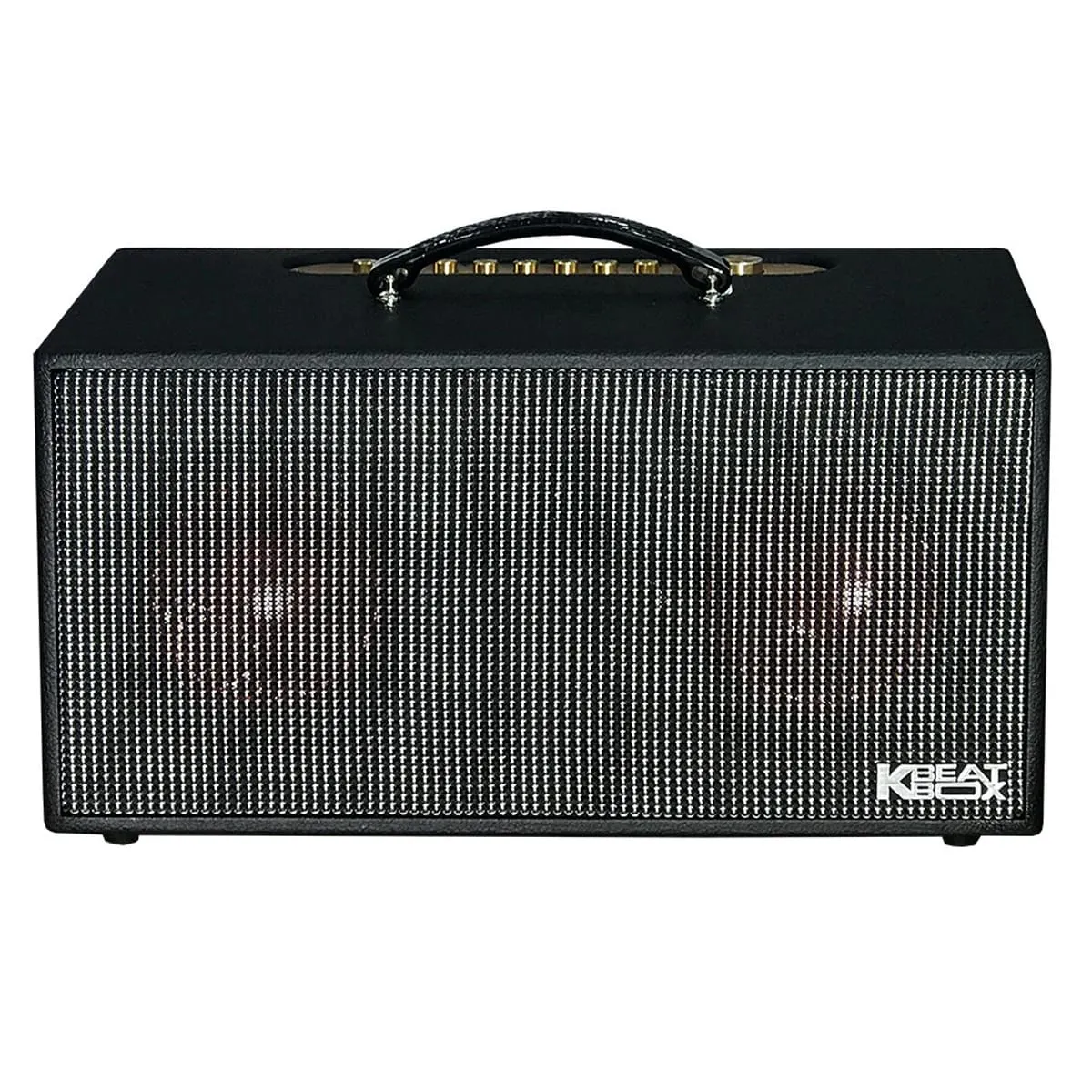 Loa xách tay ACNOS CS450