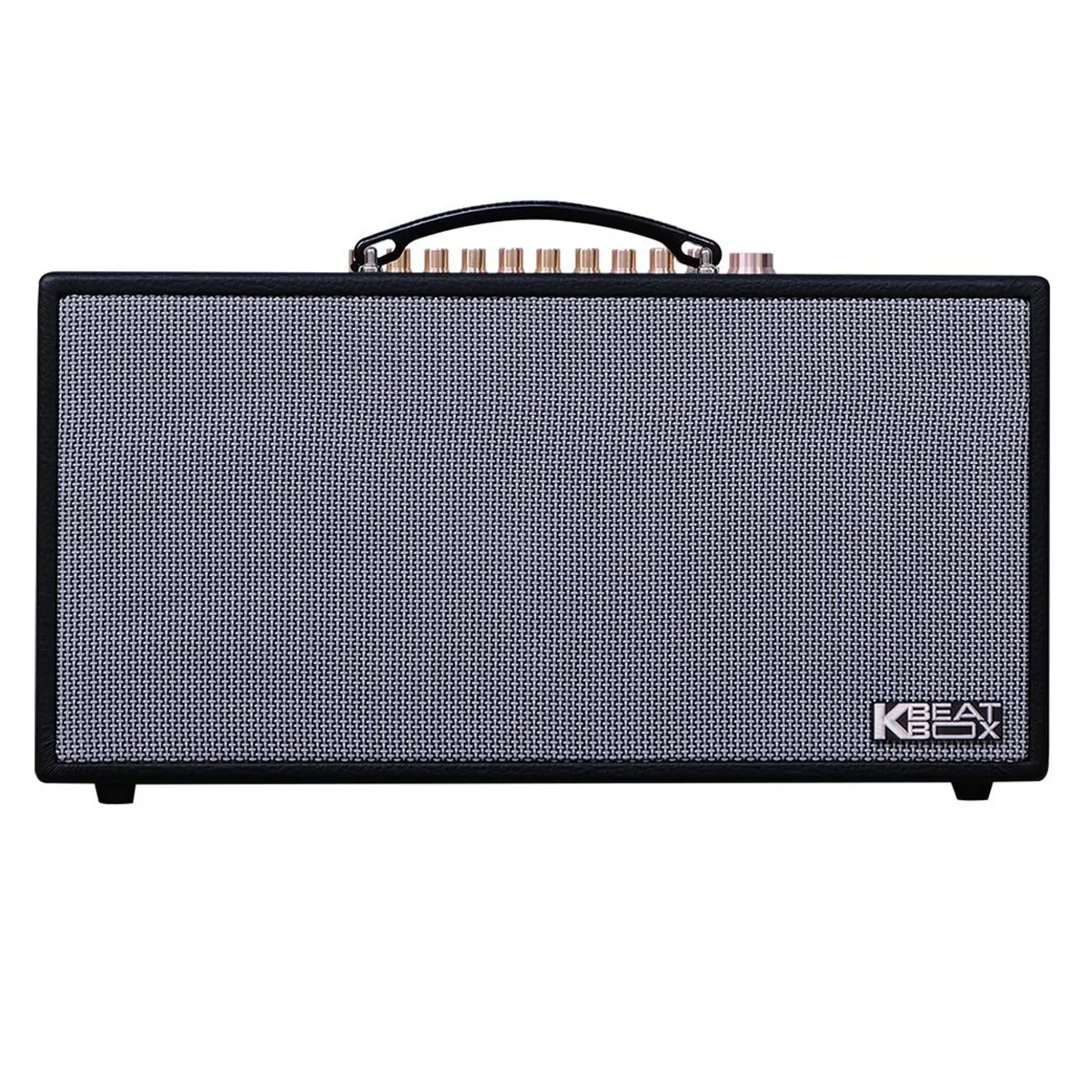 Loa xách tay Acnos CS450Alpha