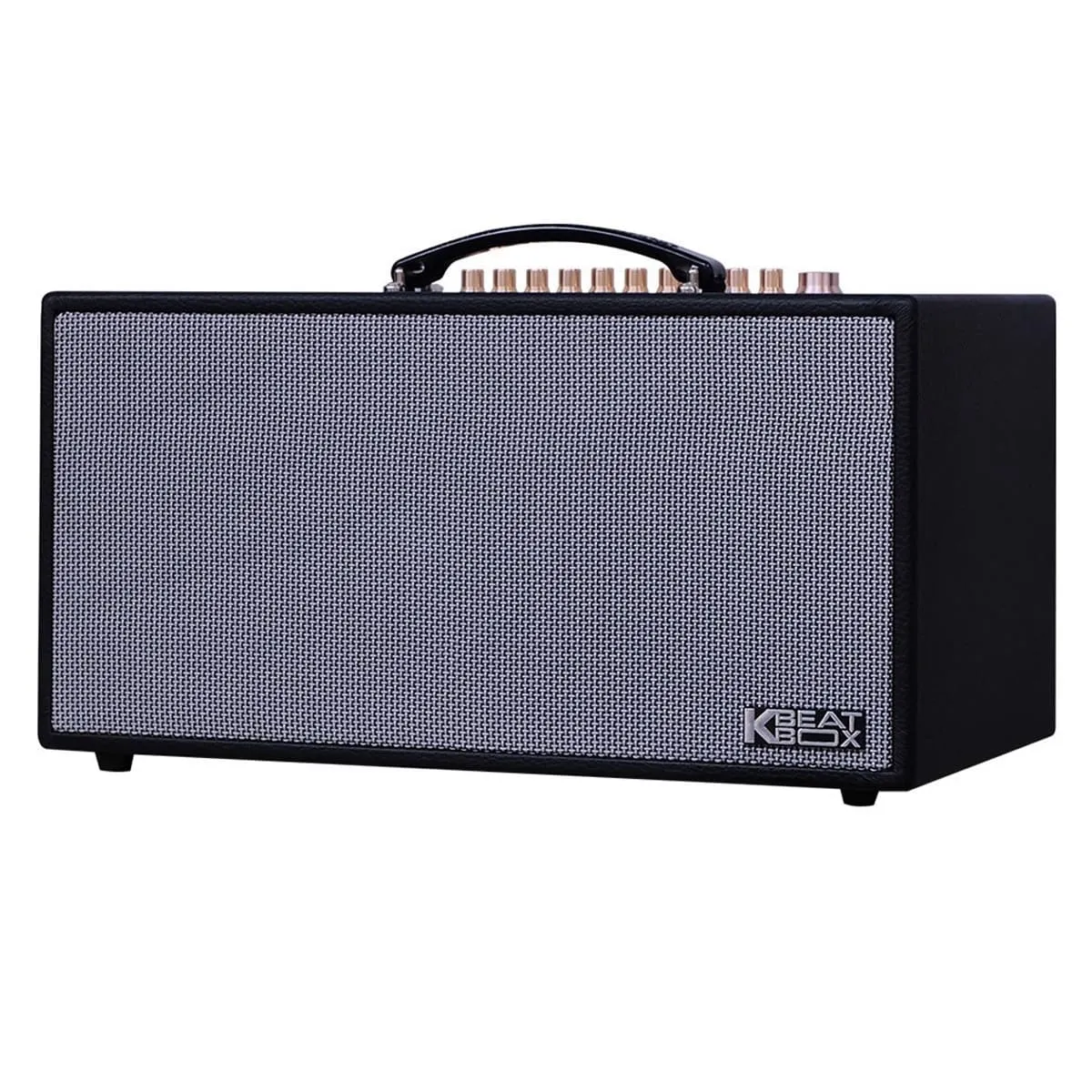 Loa xách tay Acnos CS450SR