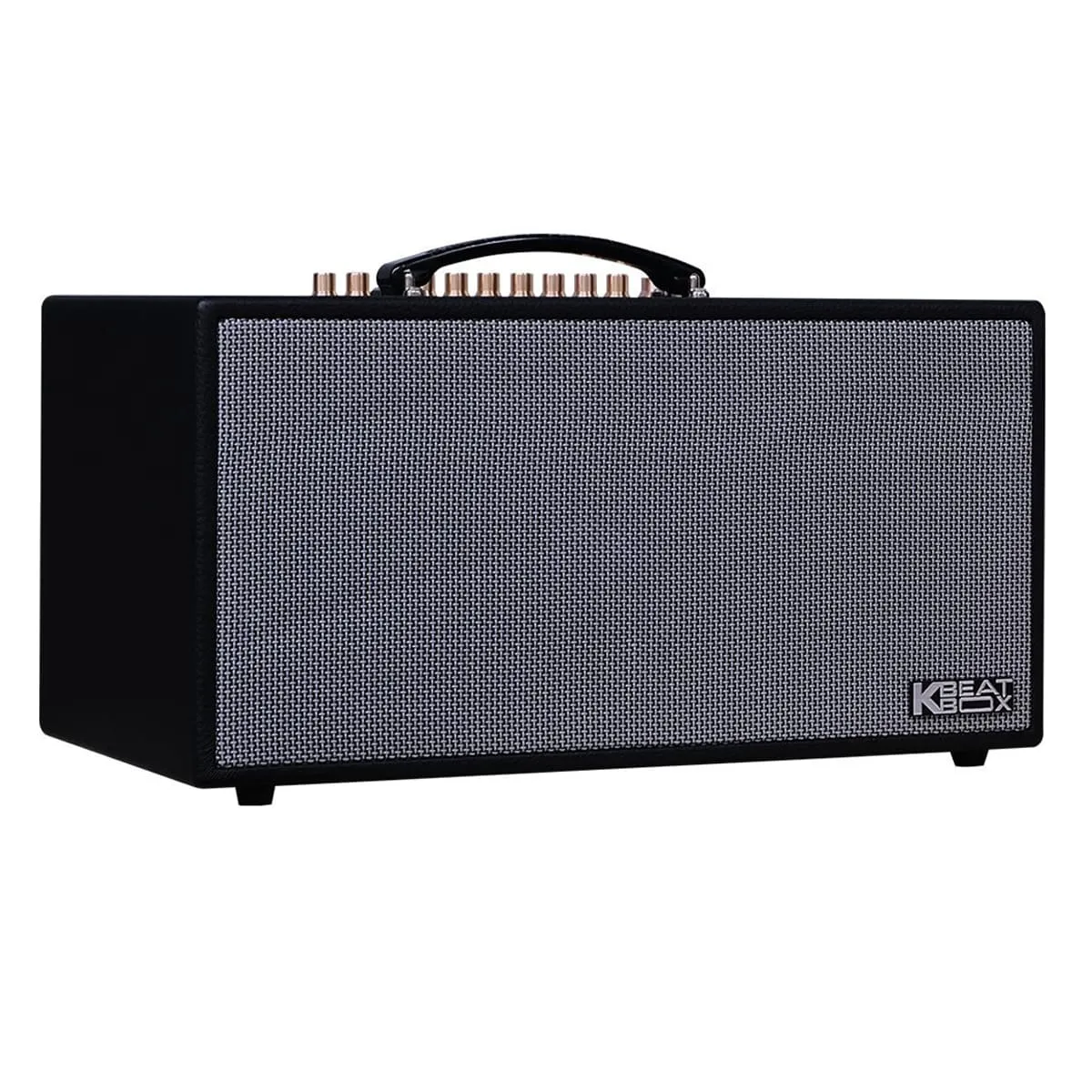 Loa xách tay Acnos CS450SR