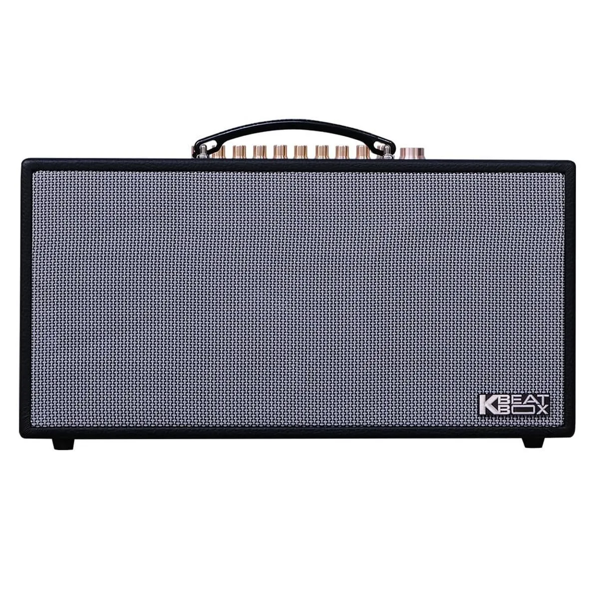 Loa xách tay Acnos CS450SR