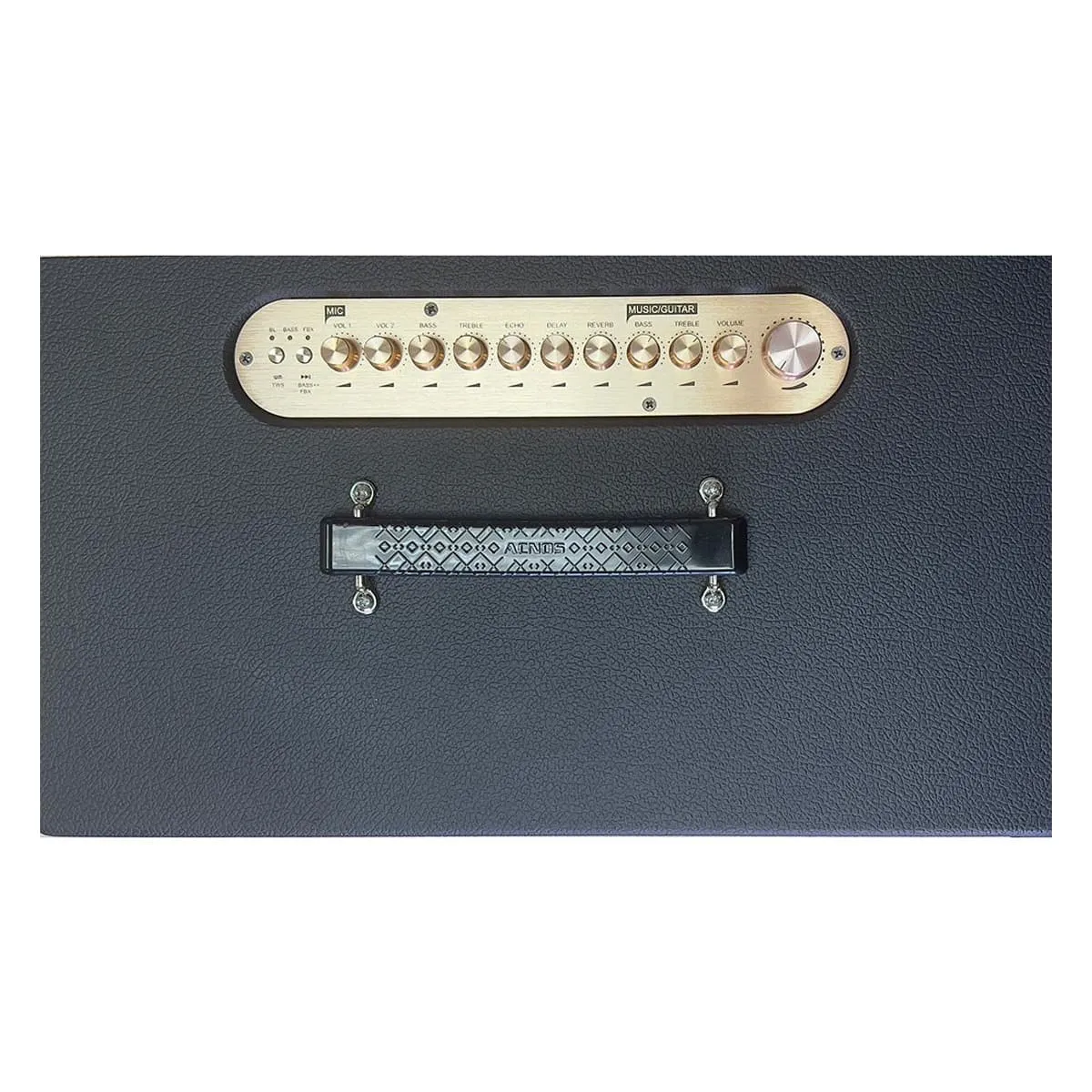 Loa xách tay Acnos CS450SR