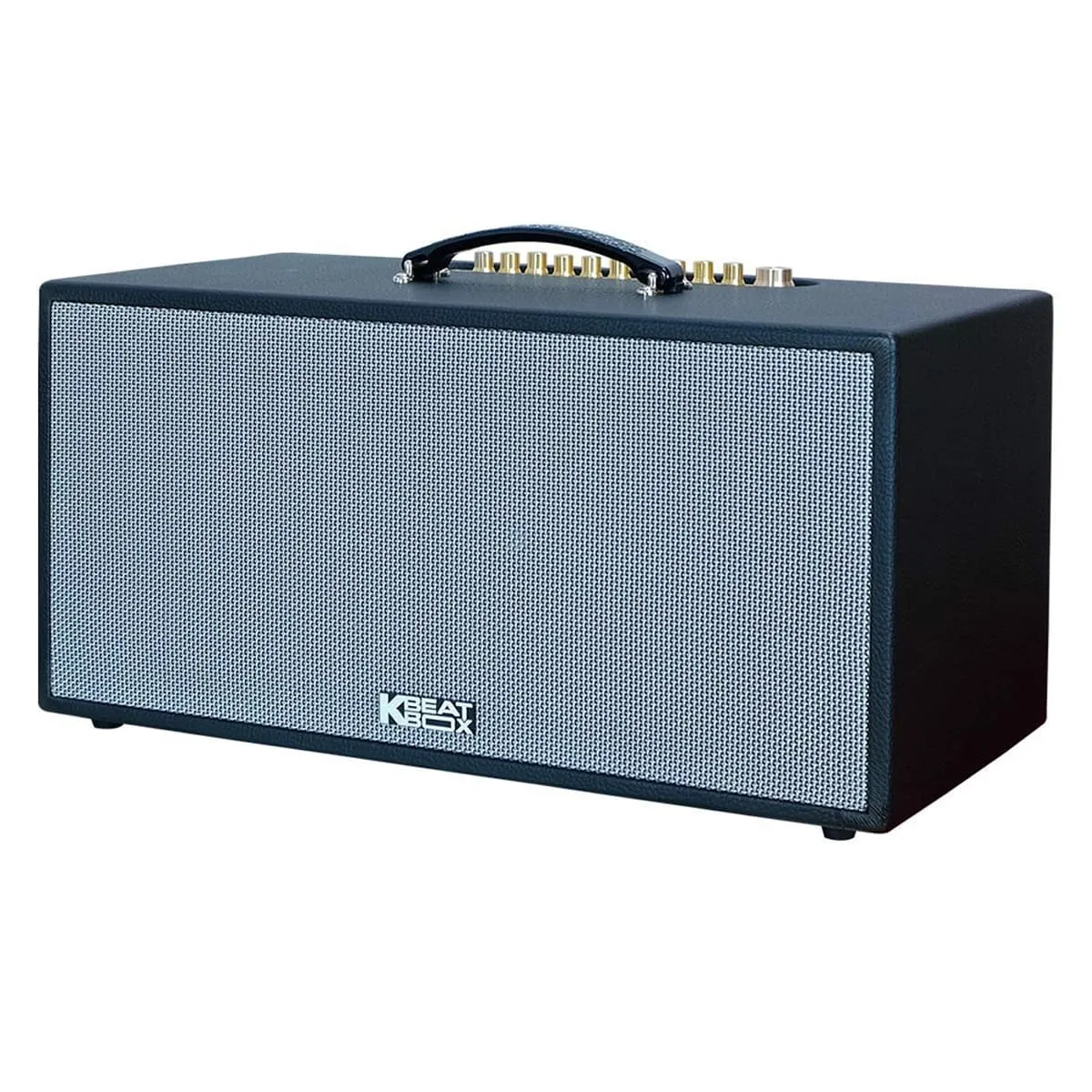 Loa xách tay Acnos CS451Plus