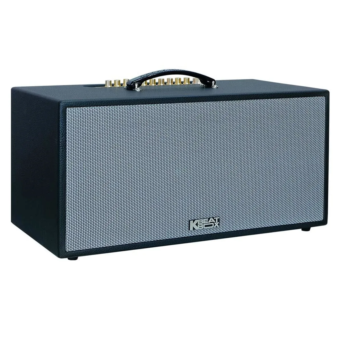 Loa xách tay Acnos CS451Plus