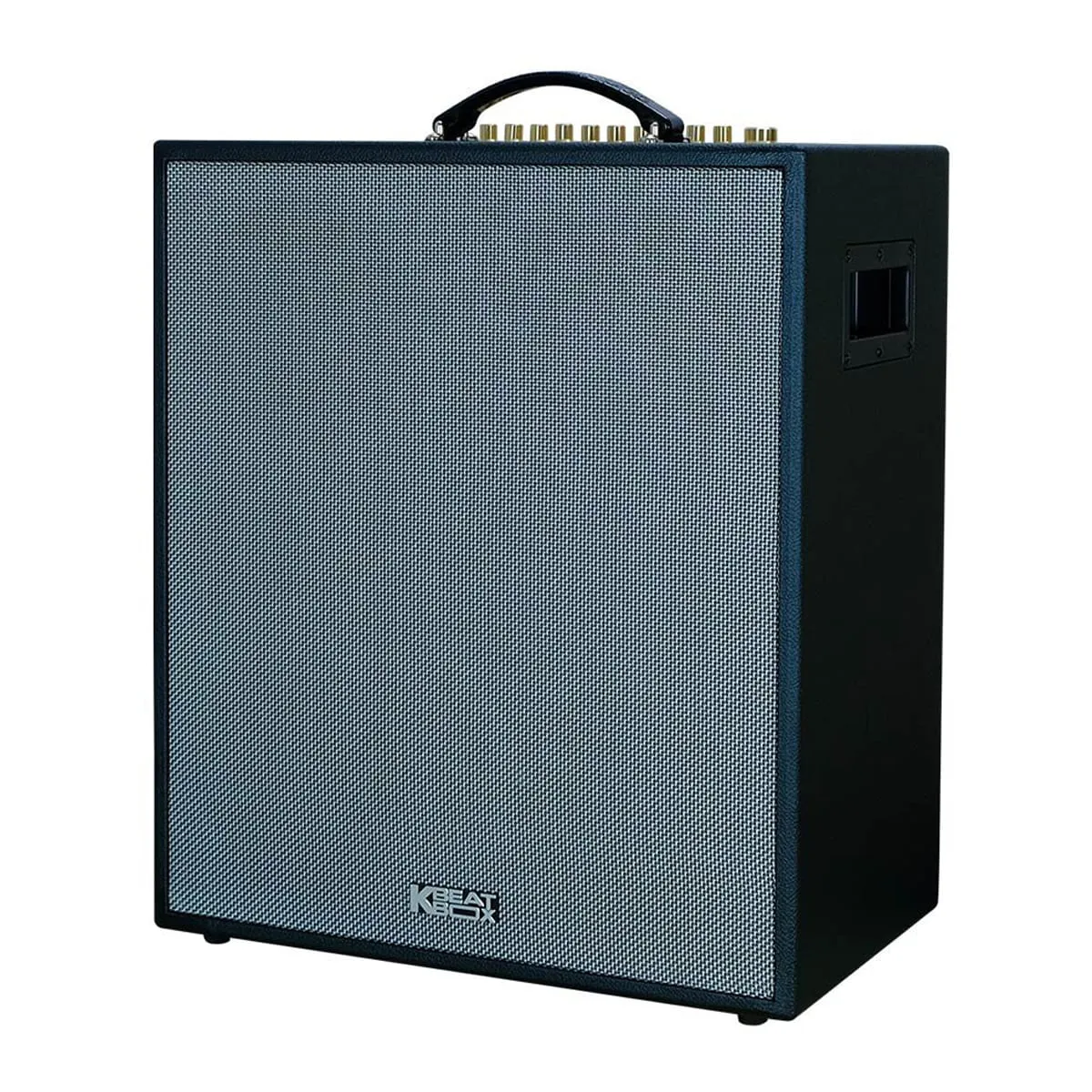 Loa xách tay Acnos CS551Plus