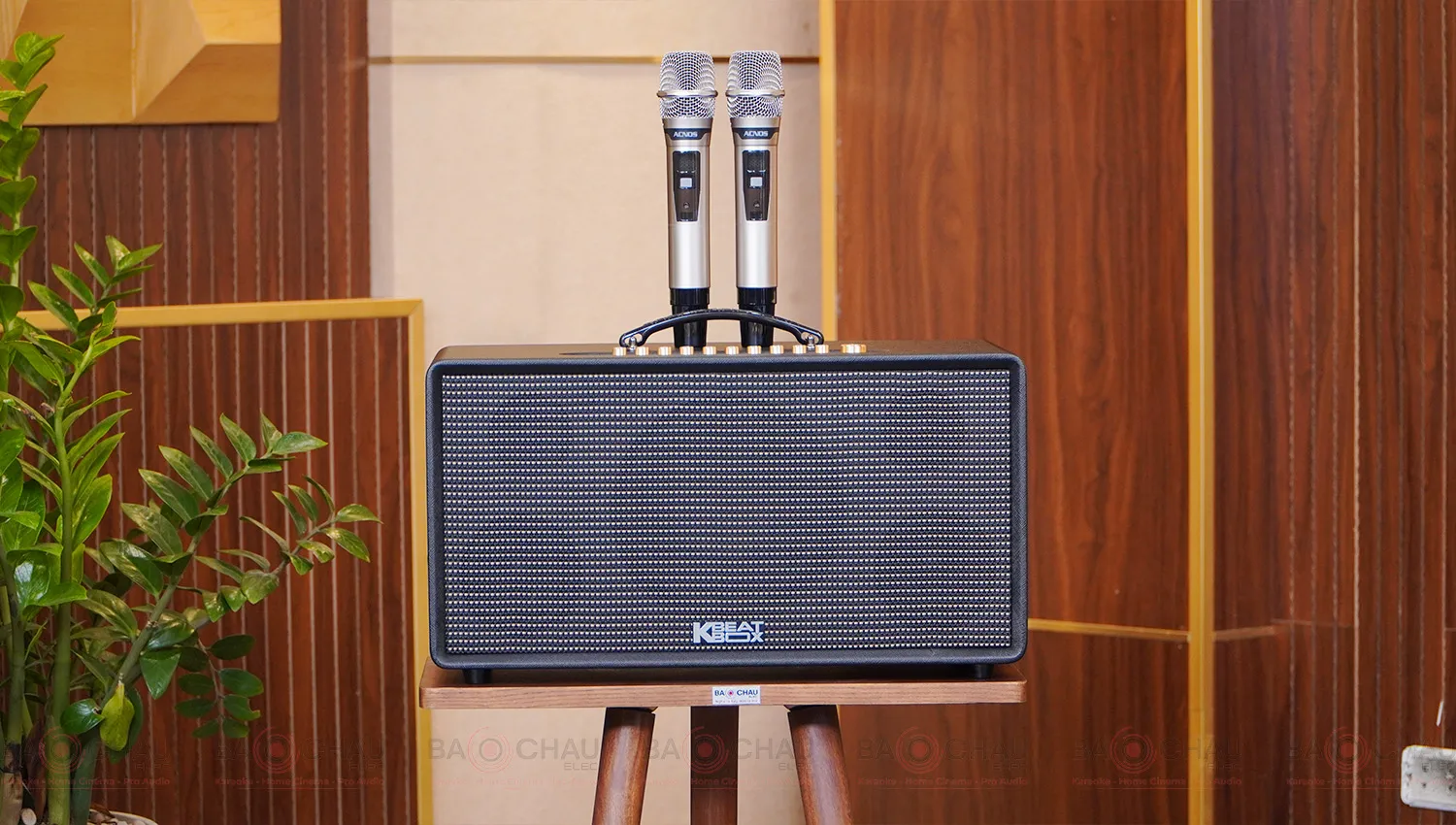 Loa Karaoke Xách Tay Acnos Flac 36