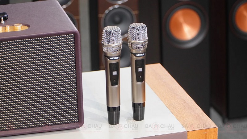 Loa karaoke di động Acnos Flac 36