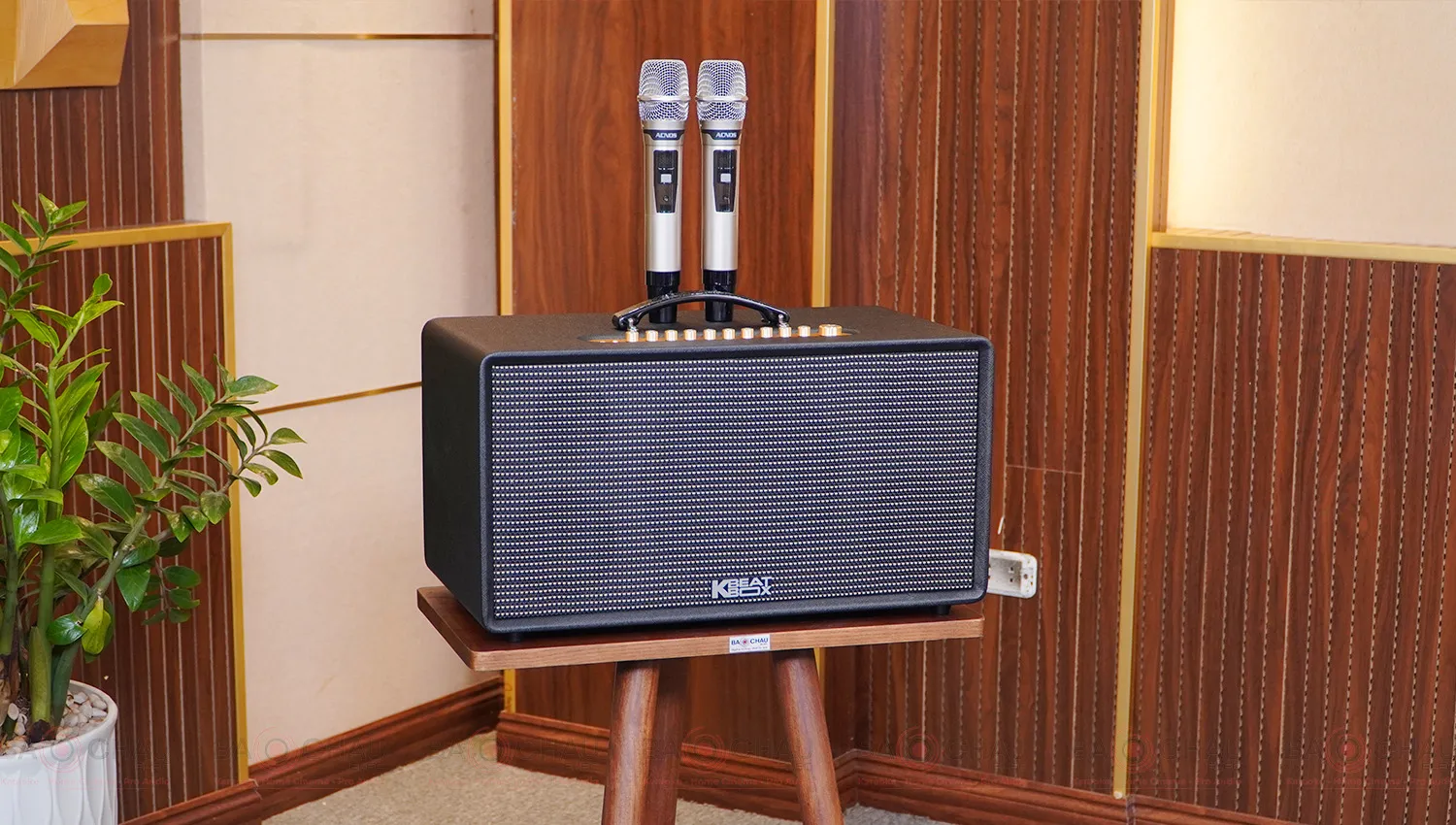 Loa Karaoke Xách Tay Acnos Flac 36