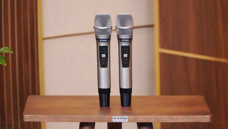 Loa karaoke di động Acnos Flac 36