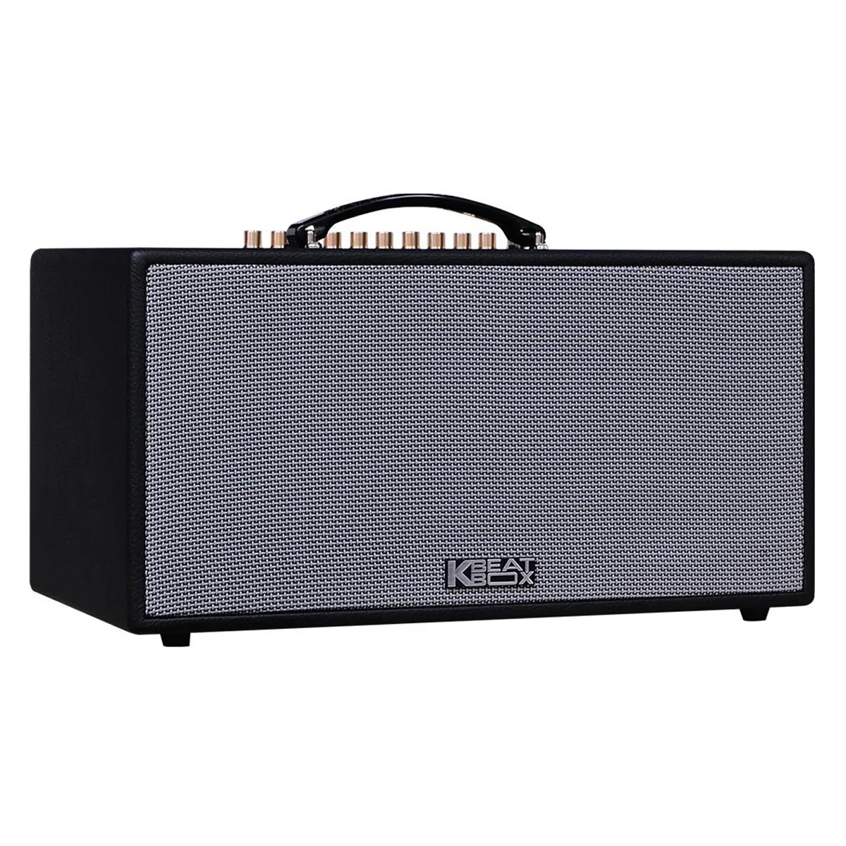 Loa xách tay Acnos HN447