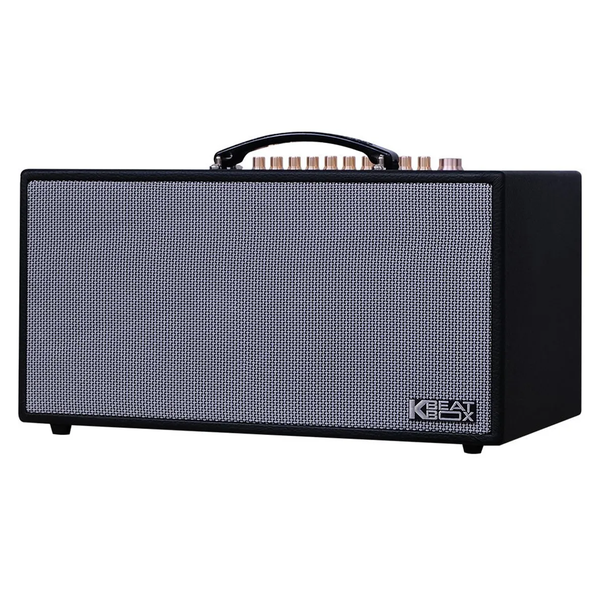 Loa xách tay ACNOS HN450
