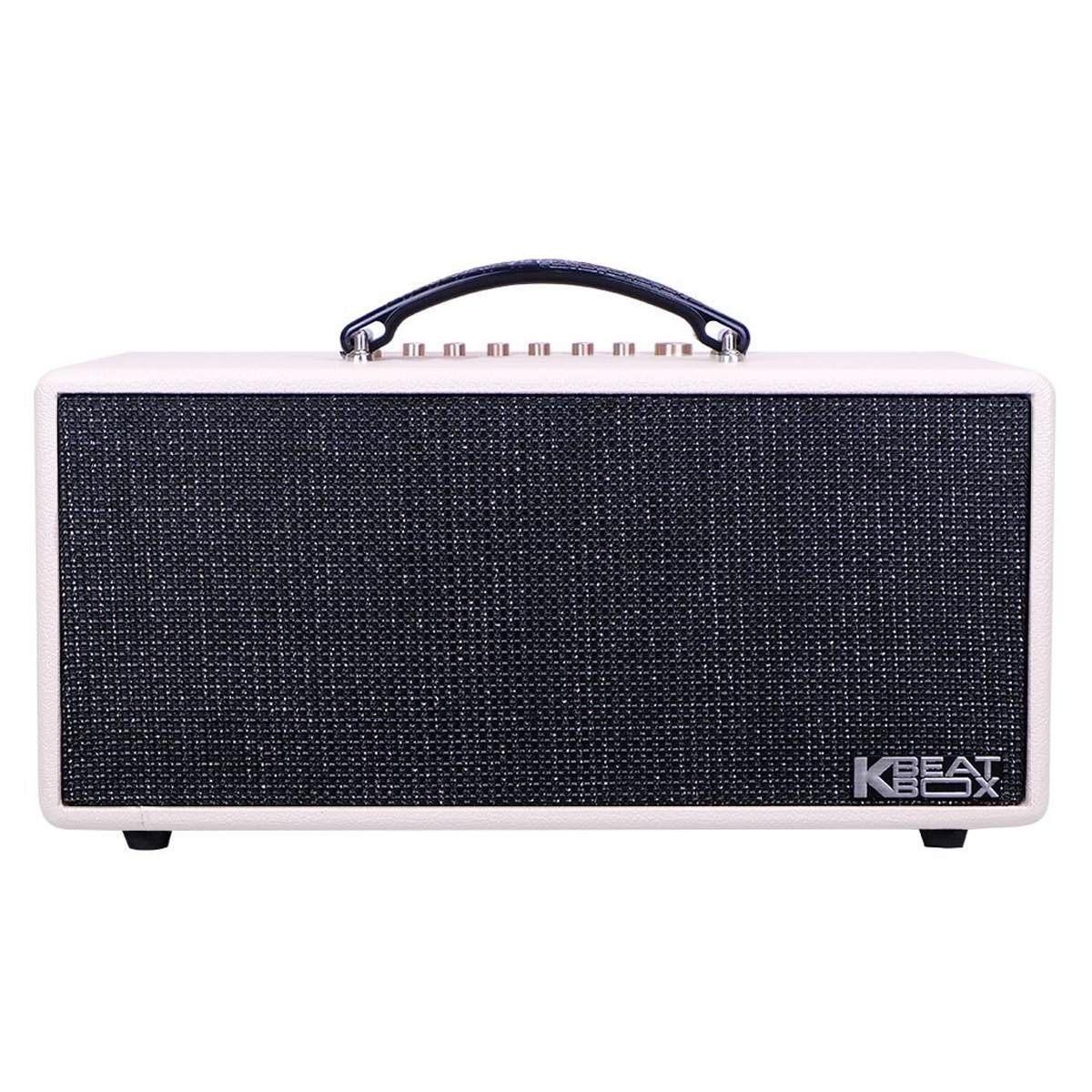 Loa xách tay Acnos KS363H