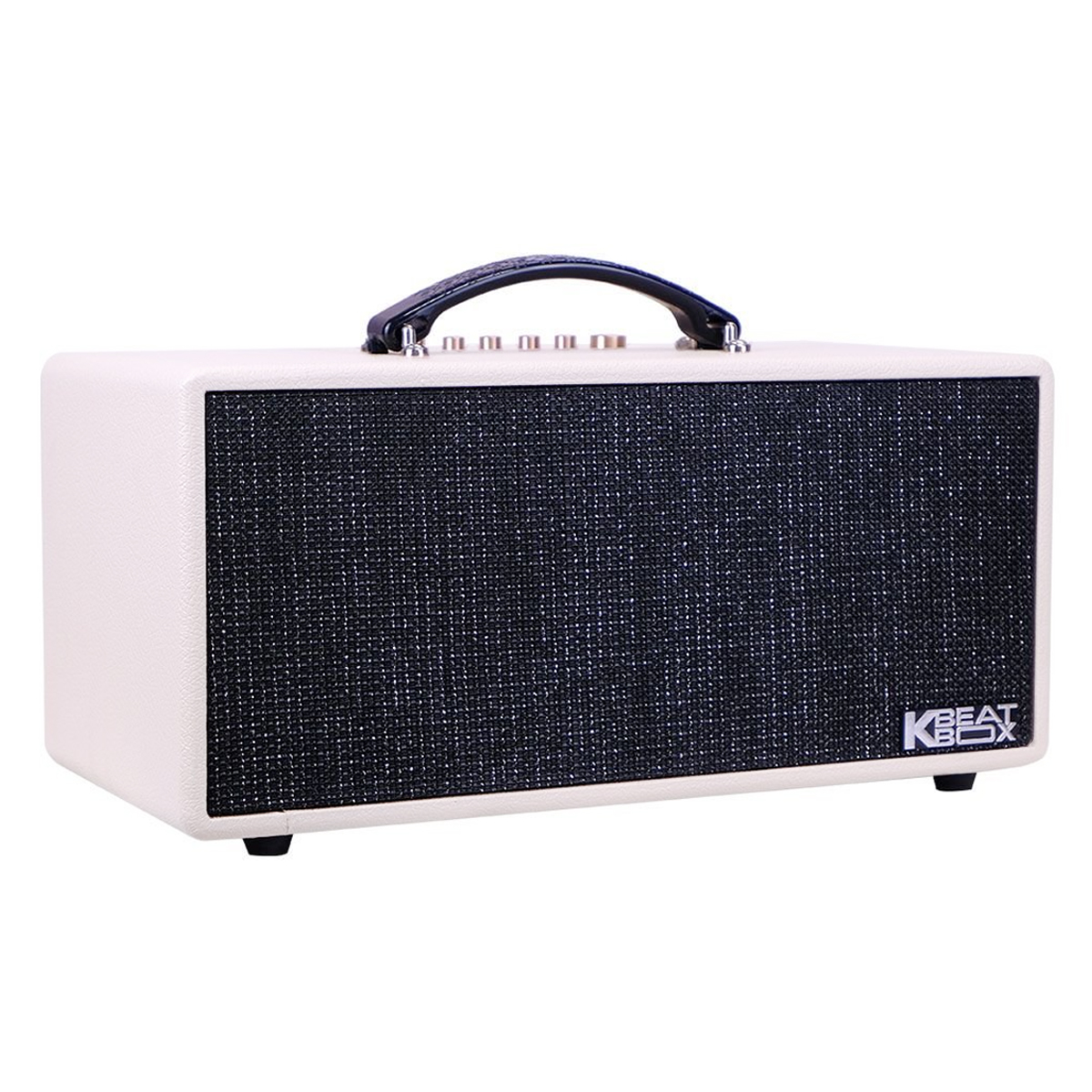 Loa xách tay Acnos KS363H